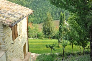 Paradiso44 Tenuta